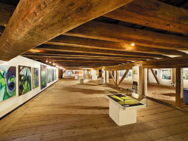 Fotografoval: Libor Svacek, Kaplicka 447, Cesky Krumlov, 381 01 CZ