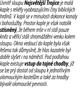 Uvnit sloupu Nejsv t j   Trojice je mal  kaple s reli fy vyobrazuj c mi  iny biblick ch hrdin . V kapli se v minulos...