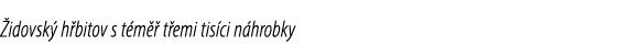  idovsk h bitov s t m   t emi tis ci n hrobky