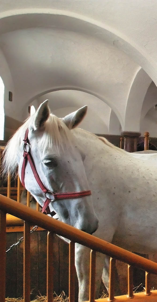 Kniha “PLZE - Libor Sv  ek" - vyd n  2., rok 2015 Photographer: Libor Svacek; box@fotosvacek.cz; Mobile: +420 602428001; 