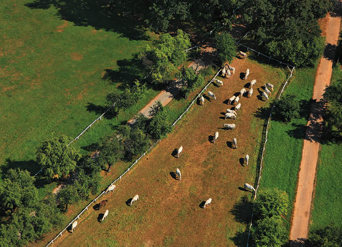 Kniha “ ESK REPUBLIKA LETECK  - Libor Sv  ek" - vyd n  1., rok 2014 Photographer: Libor Svacek; box@fotosvacek.cz; Mobile: +420 602428001; 