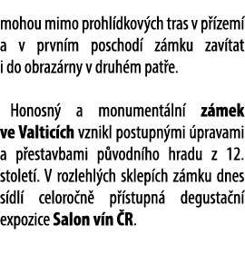 mohou mimo prohl dkov ch tras v p zem  a v prvn m poschod  z mku zav tat i do obraz rny v druh m pat e. Honosn  a mo...