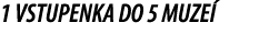 1 VSTUPENKA DO 5 MUZE 