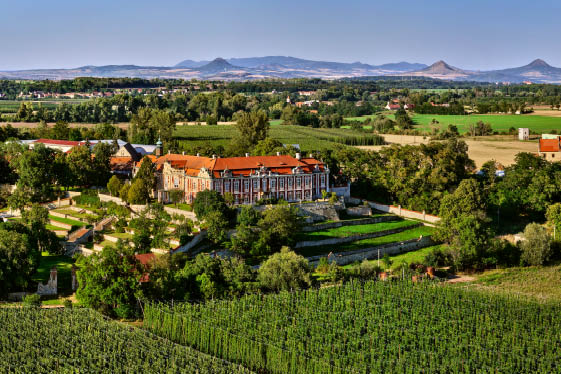 Z mek Stekn k v chmelnic ch