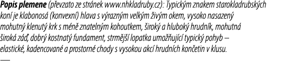 Popis plemene (p evzato ze str nek www.nhkladruby.cz): Typick m znakem starokladrubsk ch kon je klabonos  (konvexn )...