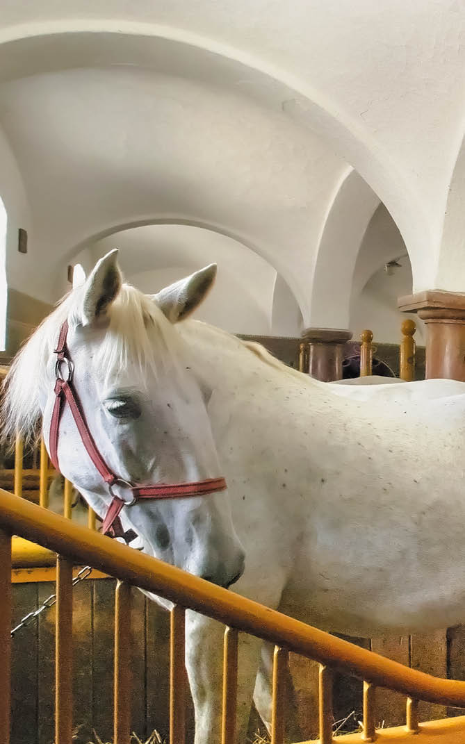 Kniha “PLZE - Libor Sv  ek" - vyd n  2., rok 2015 Photographer: Libor Svacek; box@fotosvacek.cz; Mobile: +420 602428001; 