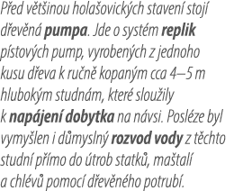 P ed v t inou hola ovick ch staven stoj  d ev n  pumpa. Jde o syst m replik p stov ch pump, vyroben ch z jednoho kus...