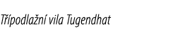 T podla n  vila Tugendhat