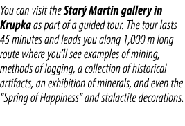 You can visit the Star Martin gallery in Krupka as part of a guided tour. The tour lasts 45 minutes and leads you al...