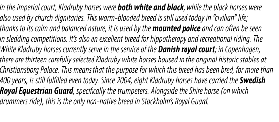 In the imperial court, Kladruby horses were both white and black, while the black horses were also used by church dig...