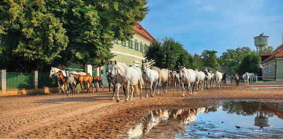 Kniha “UNESCO - Libor Sv ek" - dotisk.rok 2022 Photographer: Libor Svacek; box@fotosvacek.cz; Mobile: +420 602428001; 