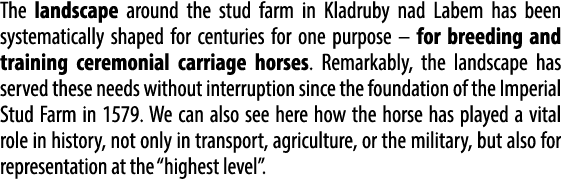 The landscape around the stud farm in Kladruby nad Labem has been systematically shaped for centuries for one purpose...