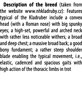 Description of the breed (taken from the website www.nhkladruby.cz): Features typical of the Kladruber include a conv...