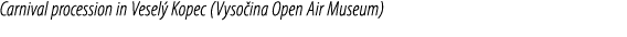 Carnival procession in Vesel Kopec (Vyso ina Open Air Museum)
