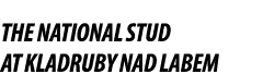 The National Stud at Kladruby nad Labem