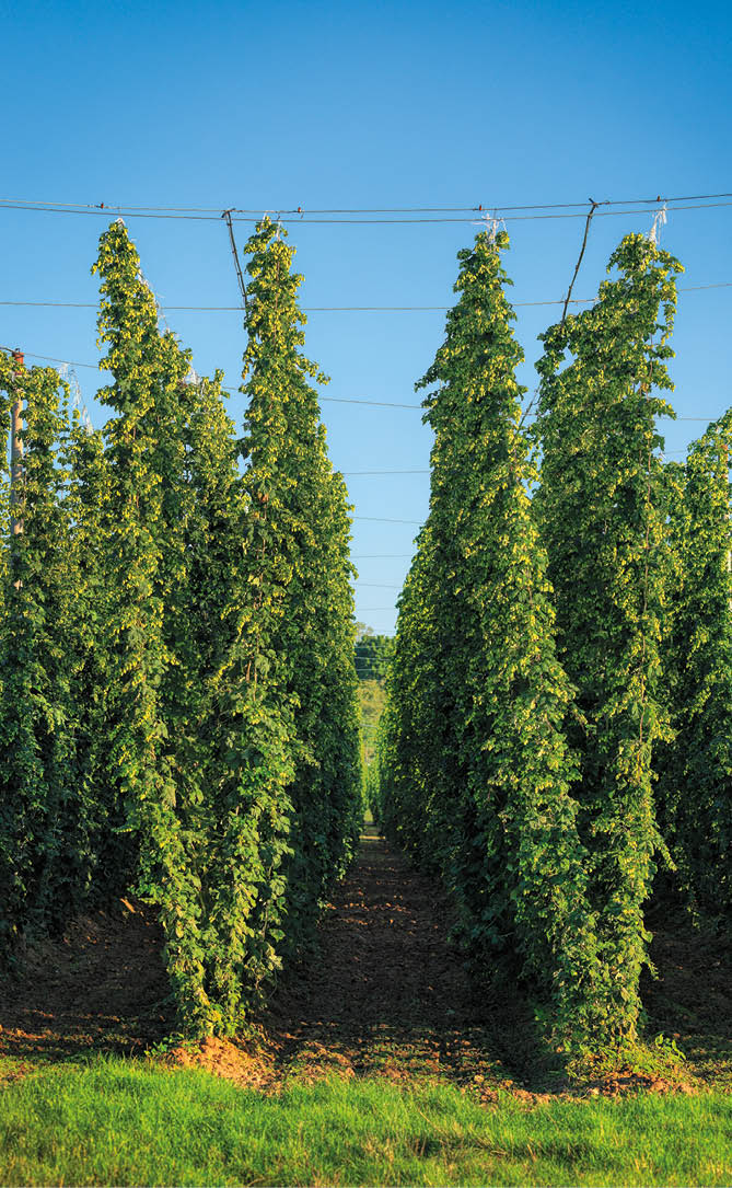 Kniha “UNESCO - Libor Sv ek" - dotisk rok 2023 Photographer: Libor Svacek; box@fotosvacek.cz; Mobile: +420 602428001; 